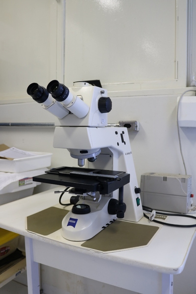 Microscópio de campo escuro marca Zeiss modelo Axioskop 40